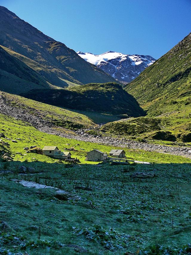 Alp de Rog mit dem Piz di Pian - im Vordergrund bereifte Wiesen